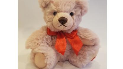 Teddy 2023