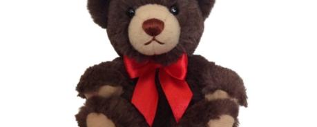 Teddy-2021