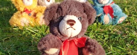 teddy and friends teddy and friends