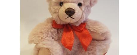 Teddy 2023 Teddy 2023