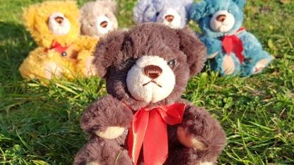 teddy and friends